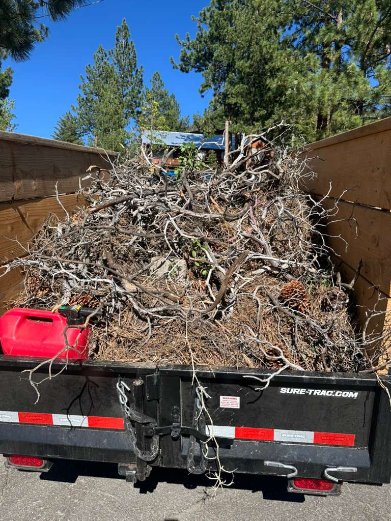 Full truckload of green waste removed from property