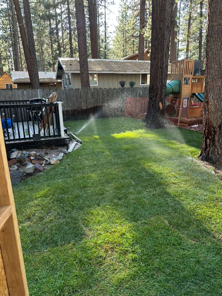 Lawn maintenance service in South Lake Tahoe